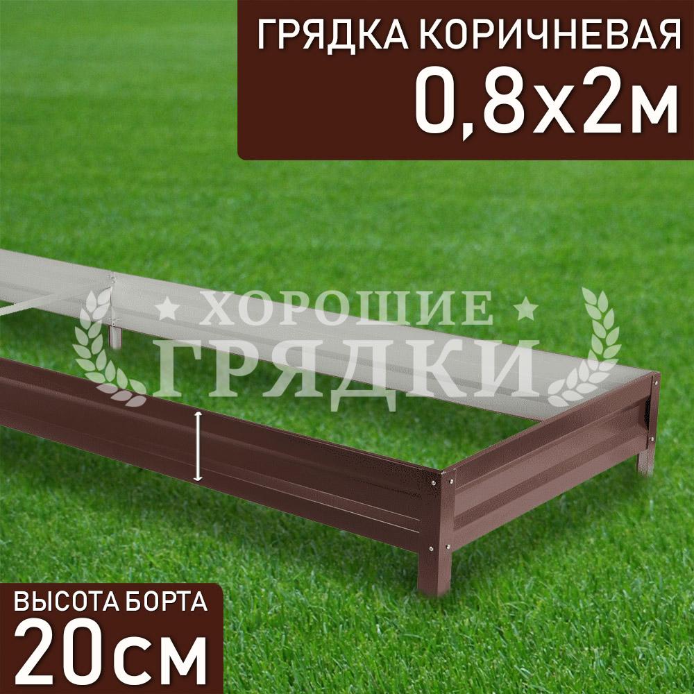 Коричневая-20-08-2